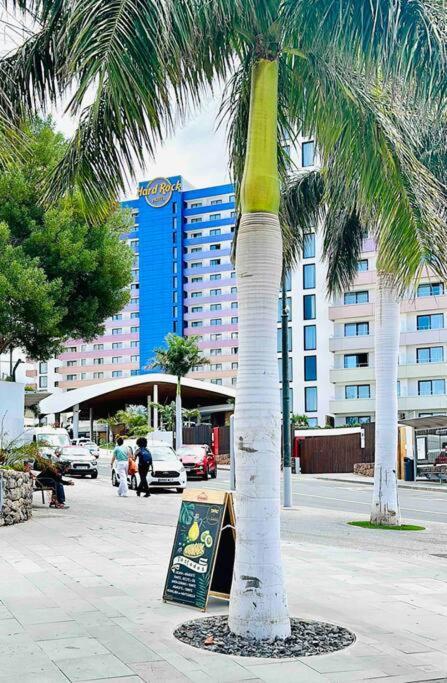 Mirador Paraiso: Superb Sea View Playa Paraiso  Ngoại thất bức ảnh
