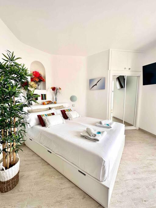 Mirador Paraiso: Superb Sea View Playa Paraiso  Ngoại thất bức ảnh