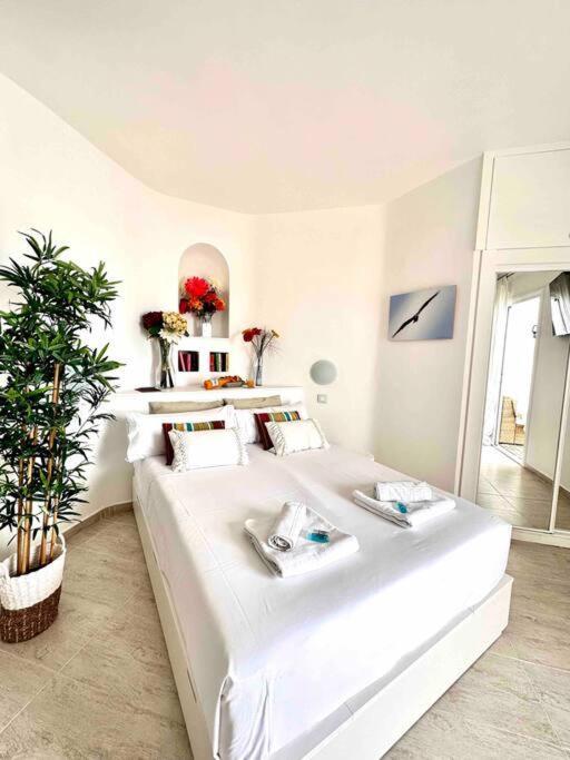 Mirador Paraiso: Superb Sea View Playa Paraiso  Ngoại thất bức ảnh
