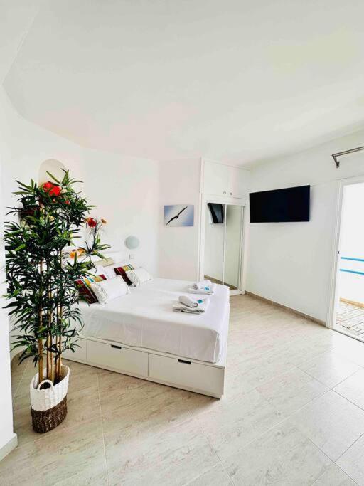 Mirador Paraiso: Superb Sea View Playa Paraiso  Ngoại thất bức ảnh